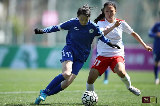 女性女士
